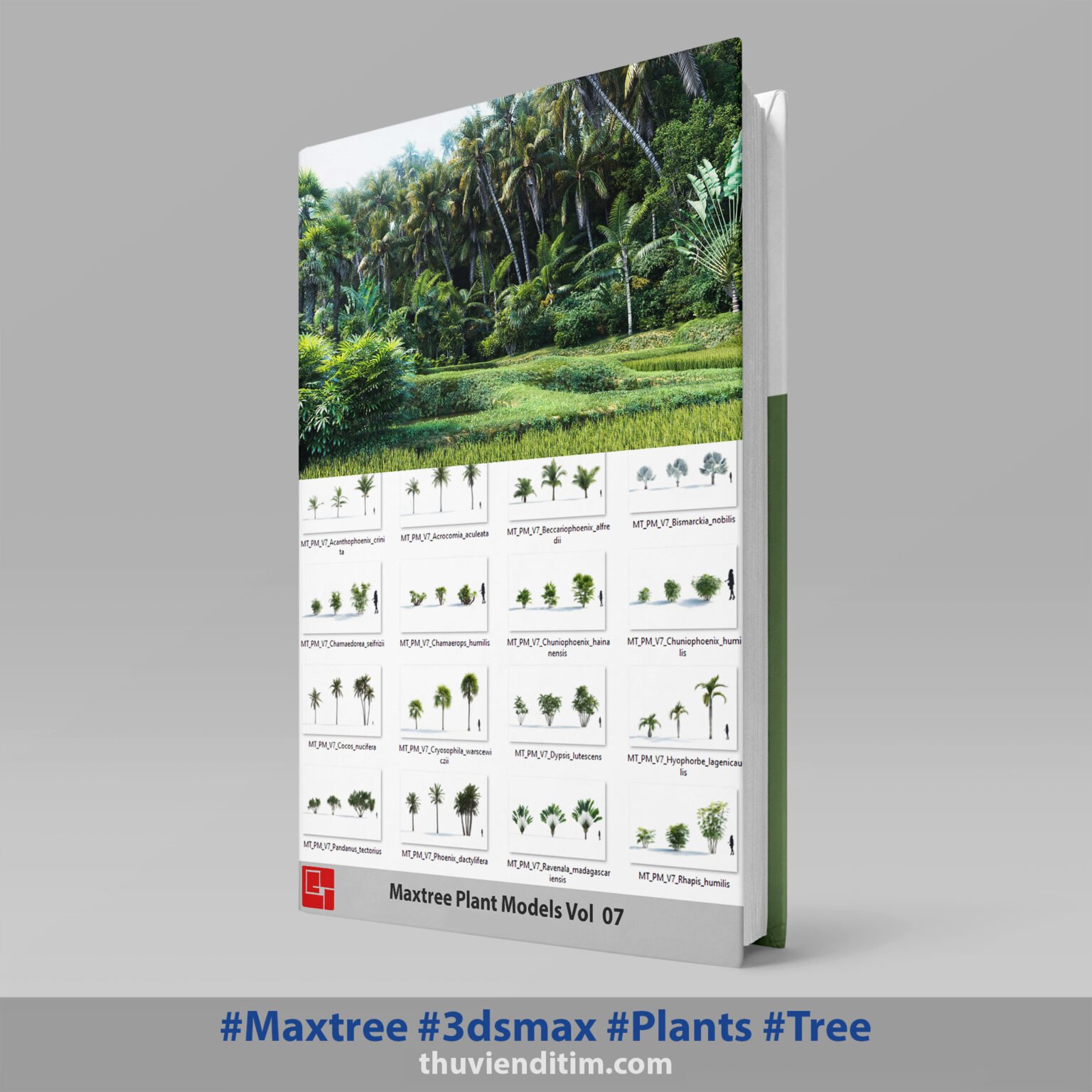 Maxtree Vol 07-Tree 3dsmax - thuvienditim
