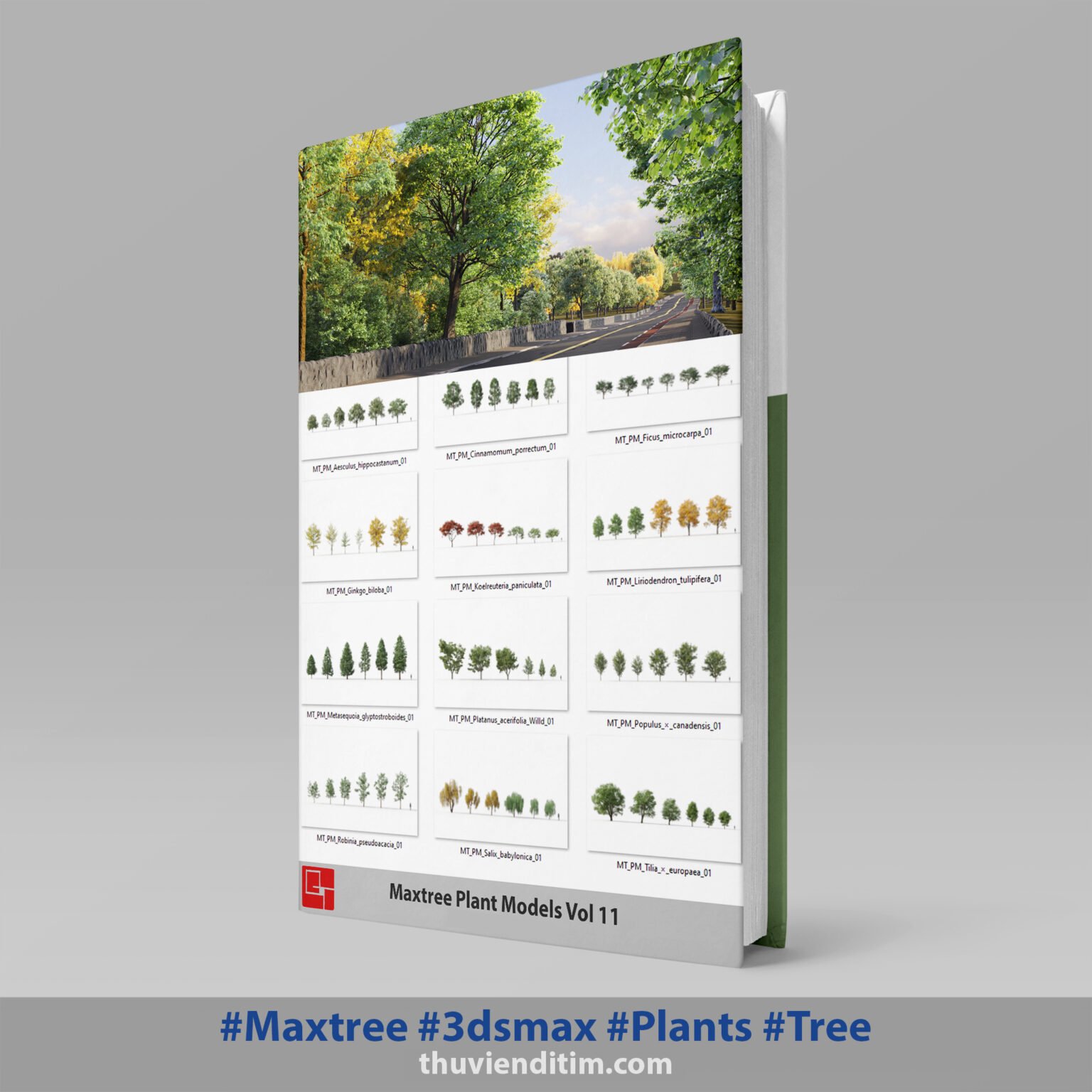 Maxtree Vol 11-Tree 3dsmax - thuvienditim